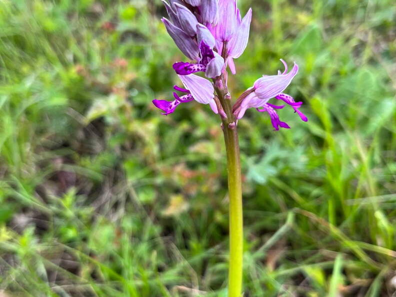 22-04-25 14-06-29 0638